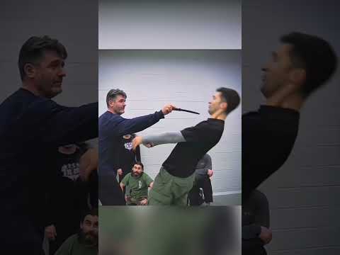 Krav Maga is the best martial art for the battlefield, aiming to kill rather than subdue.