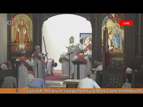 Live USA: The Divine Liturgy from Saint Mark Coptic Orthodox Church, DC