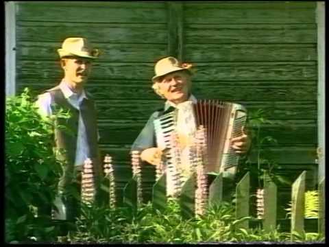 Muzikantas   Antanas  - Grupė  - DRAUGAI -
