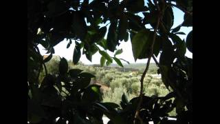 Lisa Ekdal, Nature boy.wmv