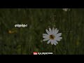 Yethetho Ennam Valarthen Whatsapp Status Punngai Mannan Ilayaraja K A CREATIONS