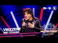 Vinzzent - Niet te doen • Muziekfeest op het Plein 2021 // Sterren NL