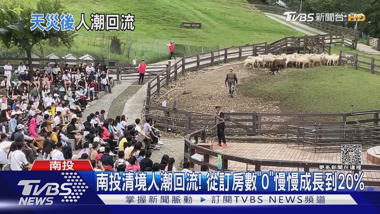 南投清境人潮回流！　從訂房數「0」慢慢成長到20%