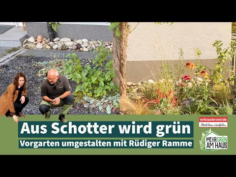 Aus Schotter wird Grün – Oase Vorgarten