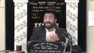 הרב מיכאל רביע | פרשת ויגש
