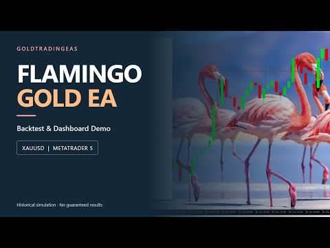 Video Flamingo Gold