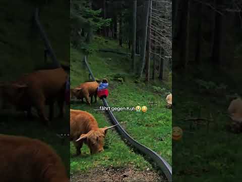 Tak to bylo o chlup!