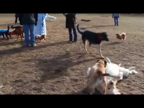 Middlesex Fells Reservation Stoneham MA 12 14 2014 1