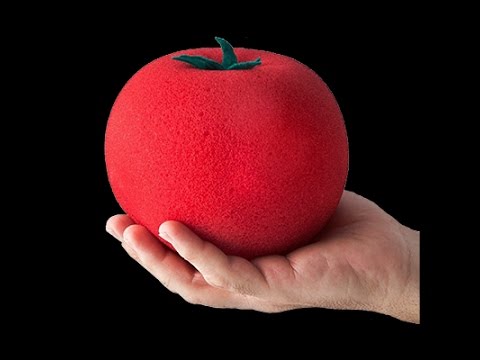 THE INCREDIBLE GROWING SPONGE TOMATO