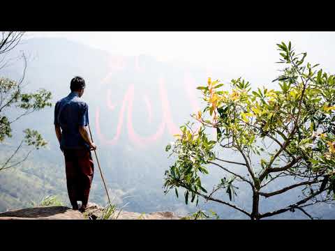 Guide Nous Allah, le sillence des mosquées