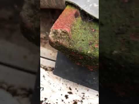 Steve's Gutters & Sons video.