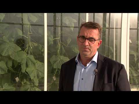 Nunhems Netherlands (Nunhem): winnaar Limburg Export Award 2019