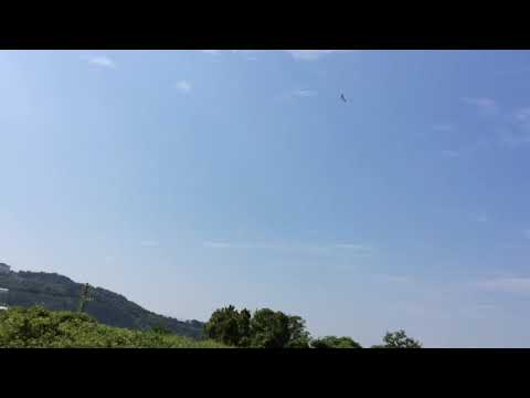 avios-bushmule-1500mm