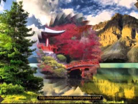 Formatia Anton Pann   Kalofonika