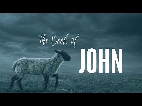 John 12:1-50 -- Thru The Bible with Damian Kyle