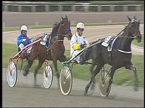 Trotto 11/11/2016 - 1ª corsa