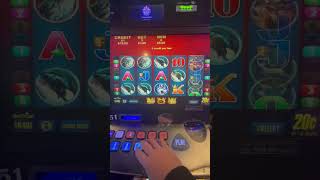❄️🎰 BIG BETS ON THIS POLAR BEAR SLOT! NO BIG WIN! ❄️🎰 #slots #casino #oldies #live #youtube