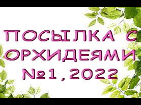 Ура:ПОСЫЛКА с ОРХИДЕЯМИ №1,сезон открыт!!!2022.