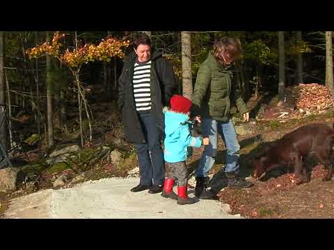 biskopsmåla nere vid sjön