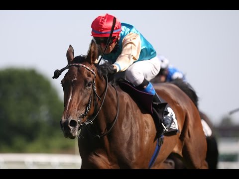 Hamburg: ALMASED Cup (Hamburger Stuten Preis) Gruppe 3 - Siegerin: Anna Katharina