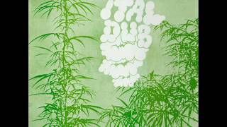 Augustus pablo    -   Barbwire Disaster  1975