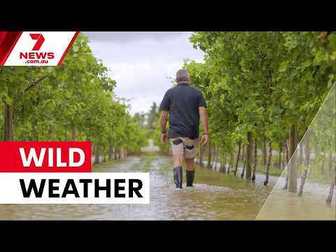 Victoria smashed by intense rain leaving costly clean-up bill | 7NEWS