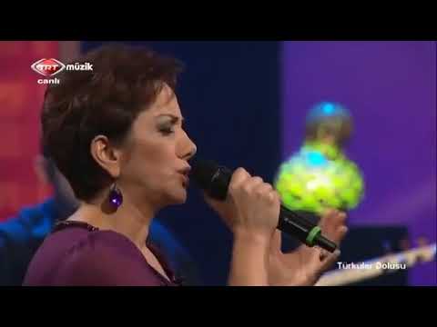 Aysun Gültekin - Dost Dost Diye Hayaline Yeldiğim