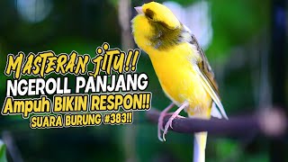 Download lagu SUARA BURUNG |383| Kenari GACOR PANJANG INI Cocok untuk Masteran KENARI PAUD dan Kenari Macet BUNYI mp3 Download lagu SUARA BURUNG |383| Kenari GACOR PANJANG INI Cocok untuk Masteran KENARI PAUD dan Kenari Macet BUNYI mp3