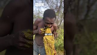 인류 진화의 비밀을 품고 있는 고대 인류 하드자베족