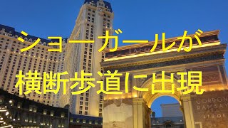 横断歩道を渡っている通行人の中にベガス名物のショーガールを発見！