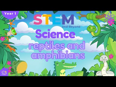 Reptiles and Amphibians | KS1 Year 1 Science |  Home Learning