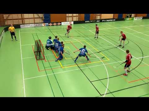 Maalikooste LNM - NST 21.1.2018