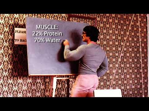 MIKE MENTZER: HOW MUCH PROTEIN DO YOU REALLY NEED?