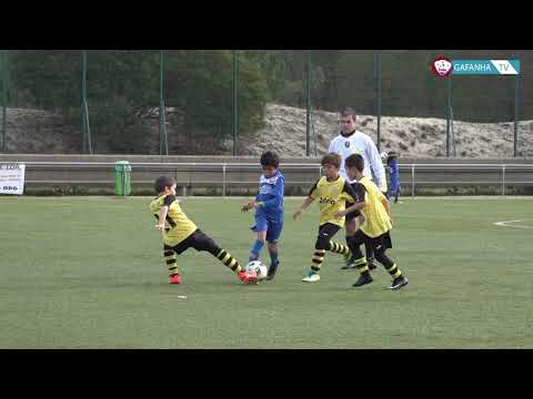 Melhores momentos | GD Gafanha Vs SC Beira-Mar - Traquinas A