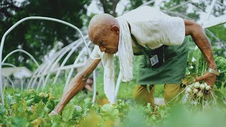 Grow a Better Dallas - Official Trailer
