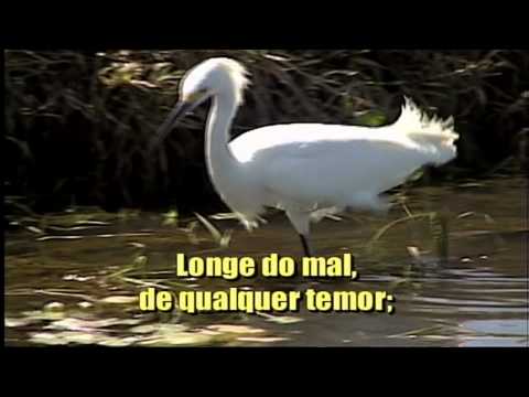 Hinário Adventista 454 - Vem Entre Nós Morar