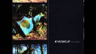 Athenaeum - &quot;Lacy&quot;