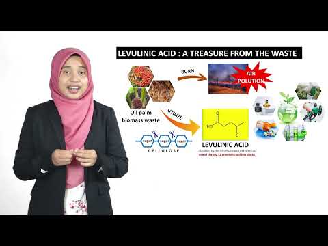 2021 3MT International Level - Nor Akhlisah Zulkipli