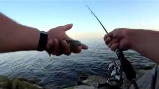 Правила ловля бычка на азовском море с берега