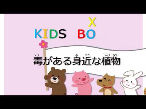 ボックスウッド: それは実際どのくらい有毒ですか?