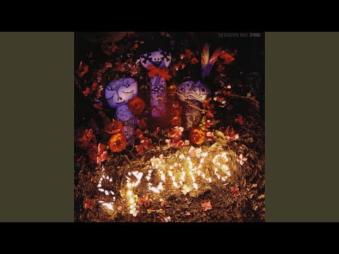 My Latest Mistake - The Beautiful Girls