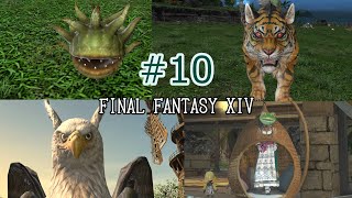 【ゆっくり実況】無人島牧場開拓物語 ＃10【FF14】