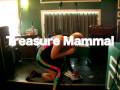 Treasure Mammal - "Real Talk" Live at SXSW