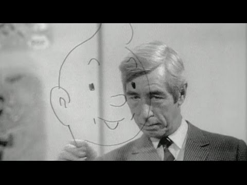 download lagu mp3 mp4 The Adventures Of Herge, download lagu The Adventures Of Herge gratis, unduh video klip The Adventures Of Herge