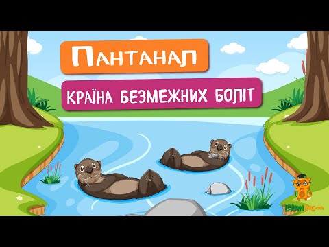 🍀 Дива природи. Явища навколо нас. Пантанал — територія безмежних боліт 🌏