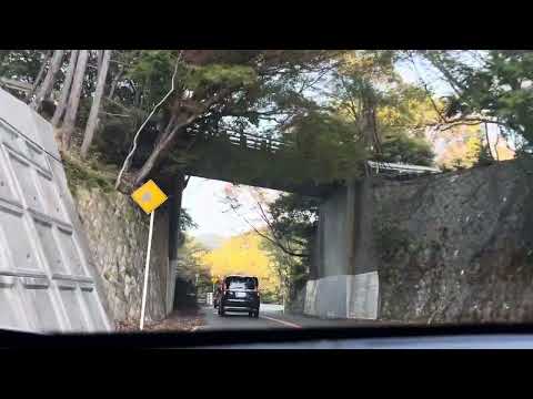 19112023Diário do Japão chủ Nhật đi chơi cùng mình #japanlife #japanvlog #japan