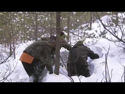 Wakes up a sleeping bear in the winter!!!!!!!!!!!!!!!!!!