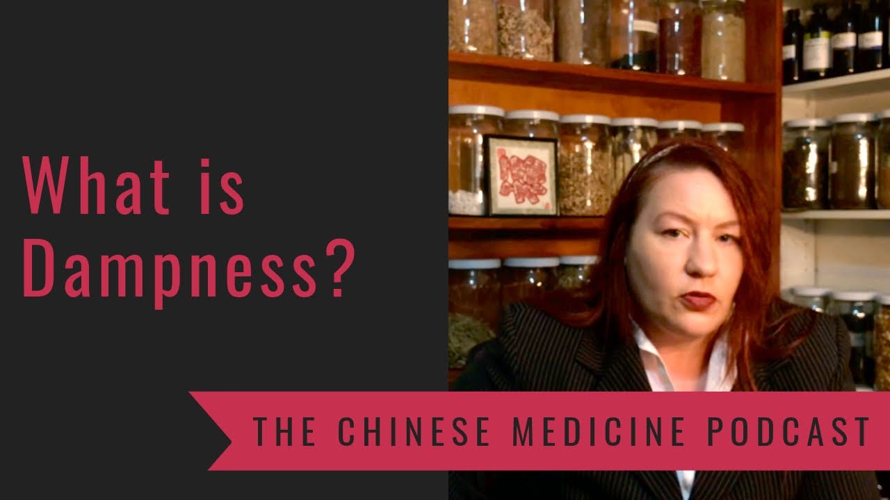 What is Dampness? The Chinese Medicine Podcast with Marie Hopkinson