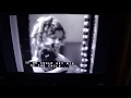TOTO Dog In Movie Bright Eyes 12 25 2018
