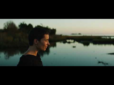 SHAED ONCE UPON A TIME Official Video preview link